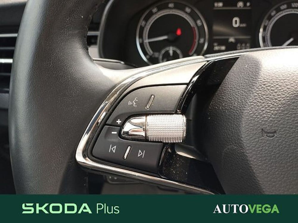 Skoda Kamiq usata a Vicenza (10)