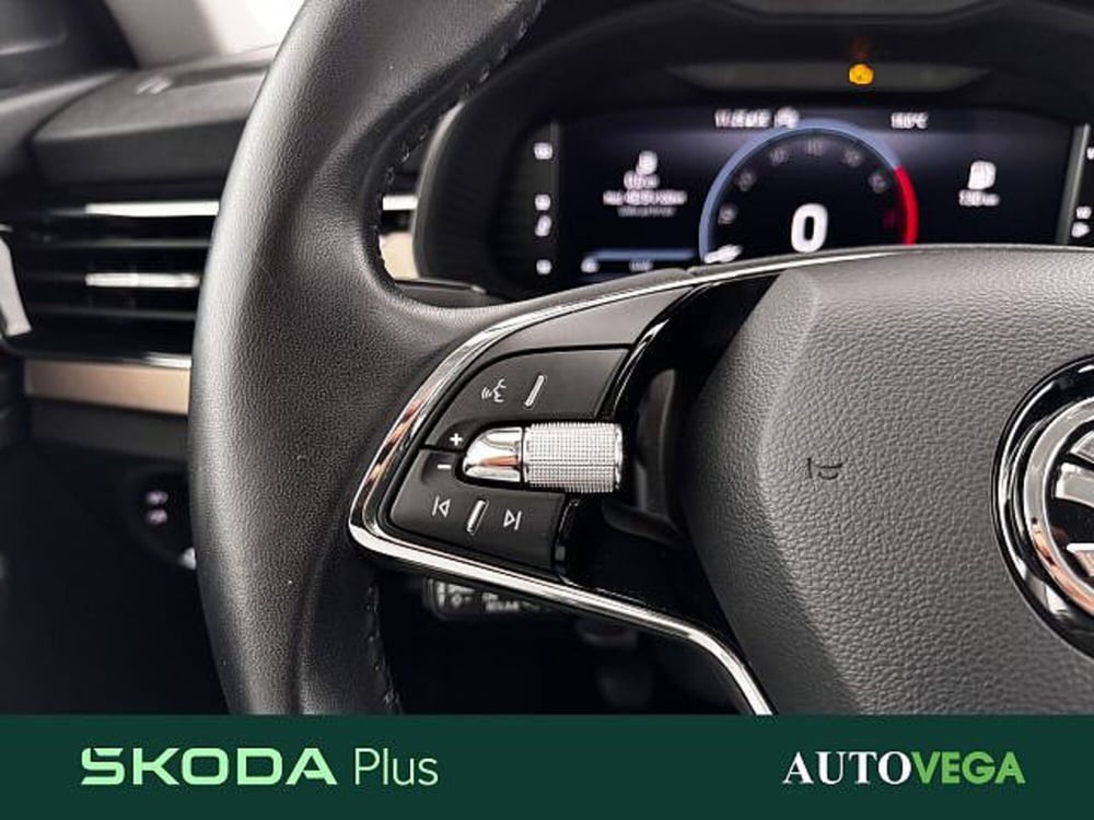 Skoda Kamiq usata a Vicenza (18)
