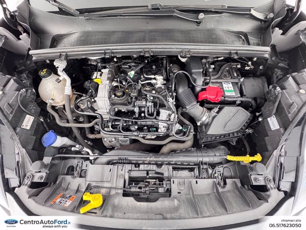 Ford Puma usata a Roma (12)