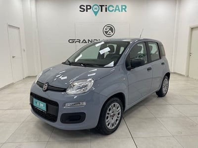 Fiat Panda 1.2 Easy del 2017 usata a Alessandria