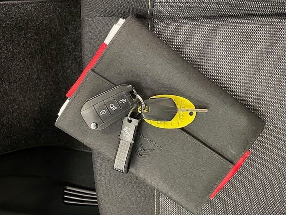 Citroen C3 usata a Alessandria (10)