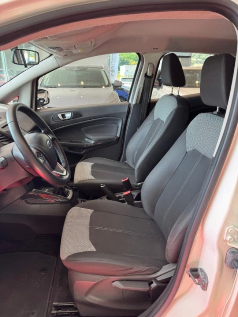 Ford EcoSport usata a Sassari (7)