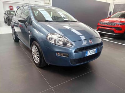 Fiat Punto 1.4 8V 5 porte Easypower Street del 2018 usata a Vercelli
