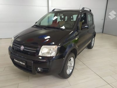 Fiat Panda 1.2 4x4 Climbing del 2010 usata a Muggia