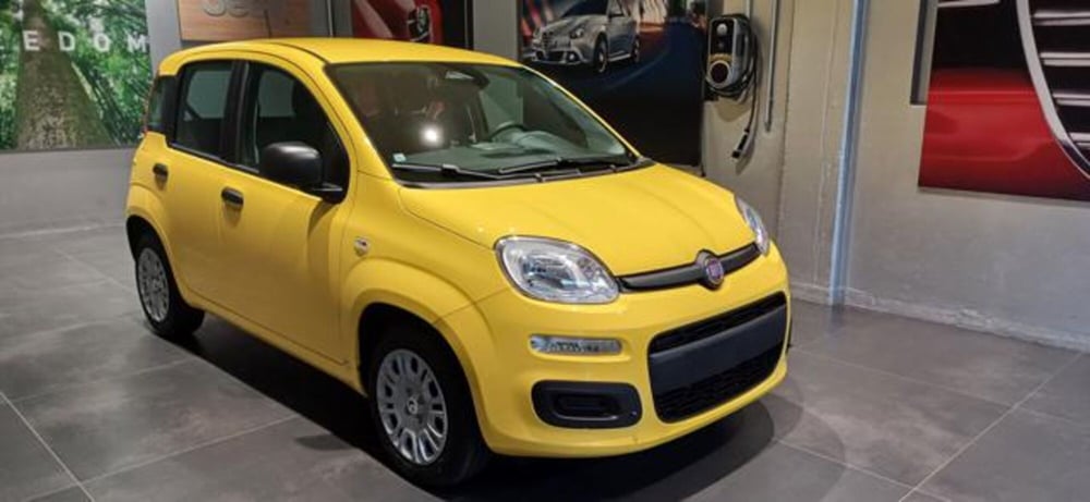 Fiat Panda nuova a Padova