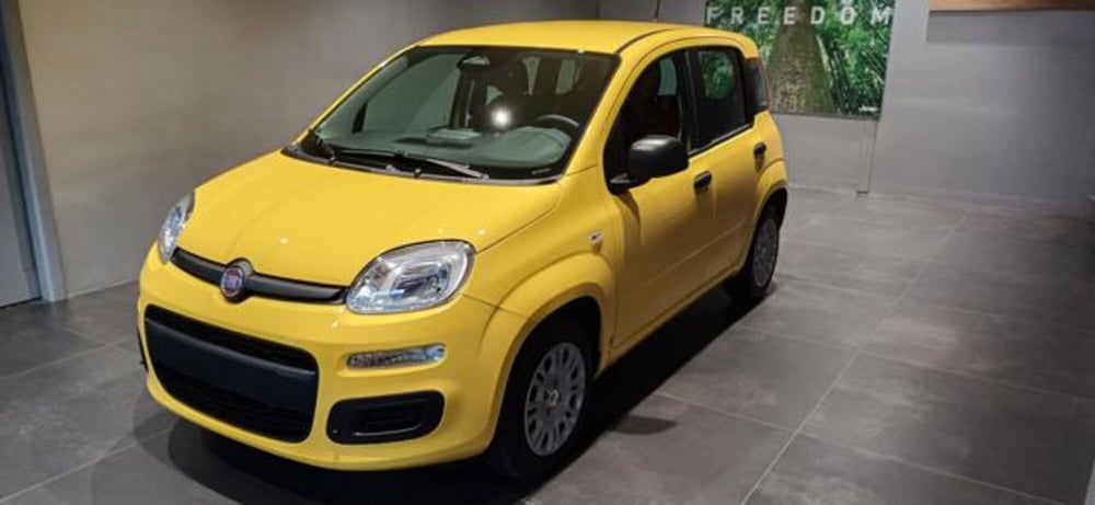 Fiat Panda nuova a Padova (2)