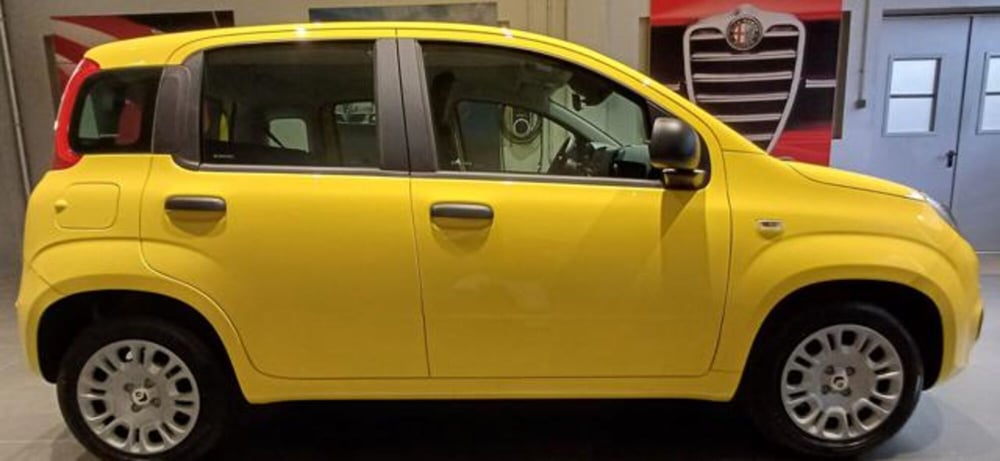 Fiat Panda nuova a Padova (3)