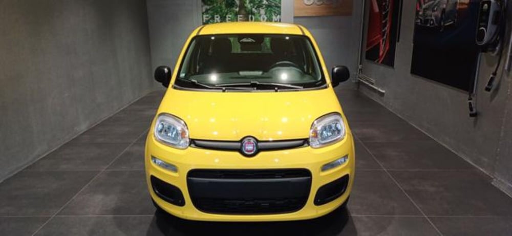 Fiat Panda nuova a Padova (7)