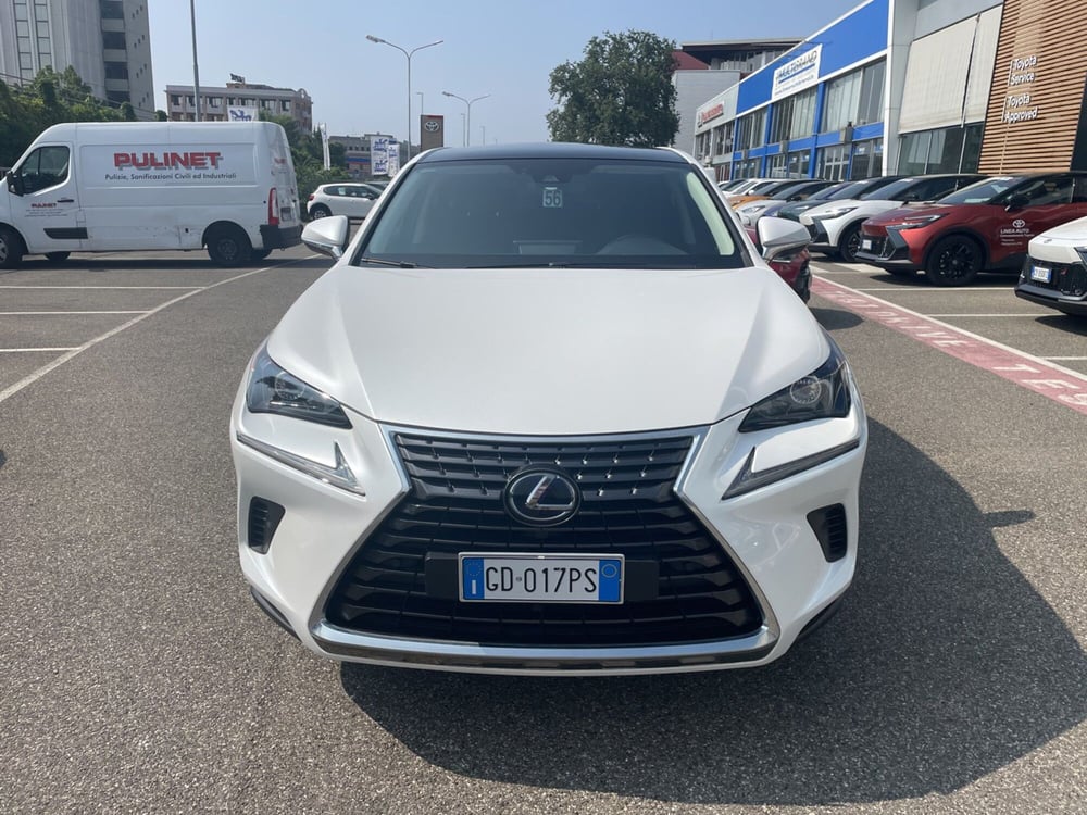 Lexus NX usata a Piacenza (3)