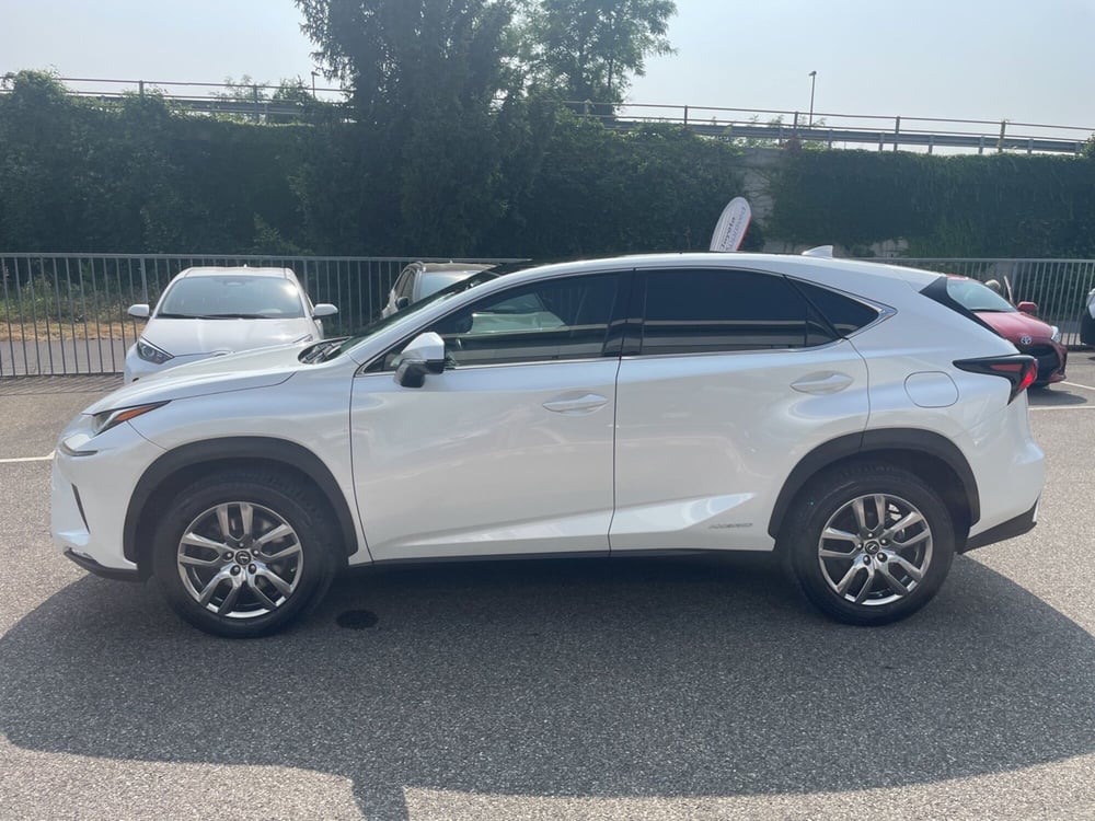 Lexus NX usata a Piacenza (4)