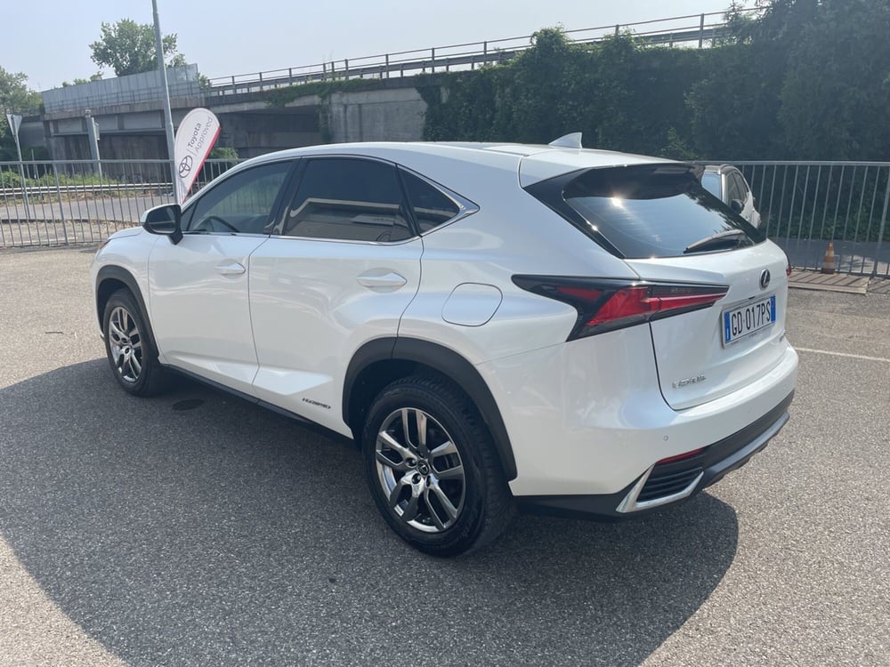 Lexus NX usata a Piacenza (5)