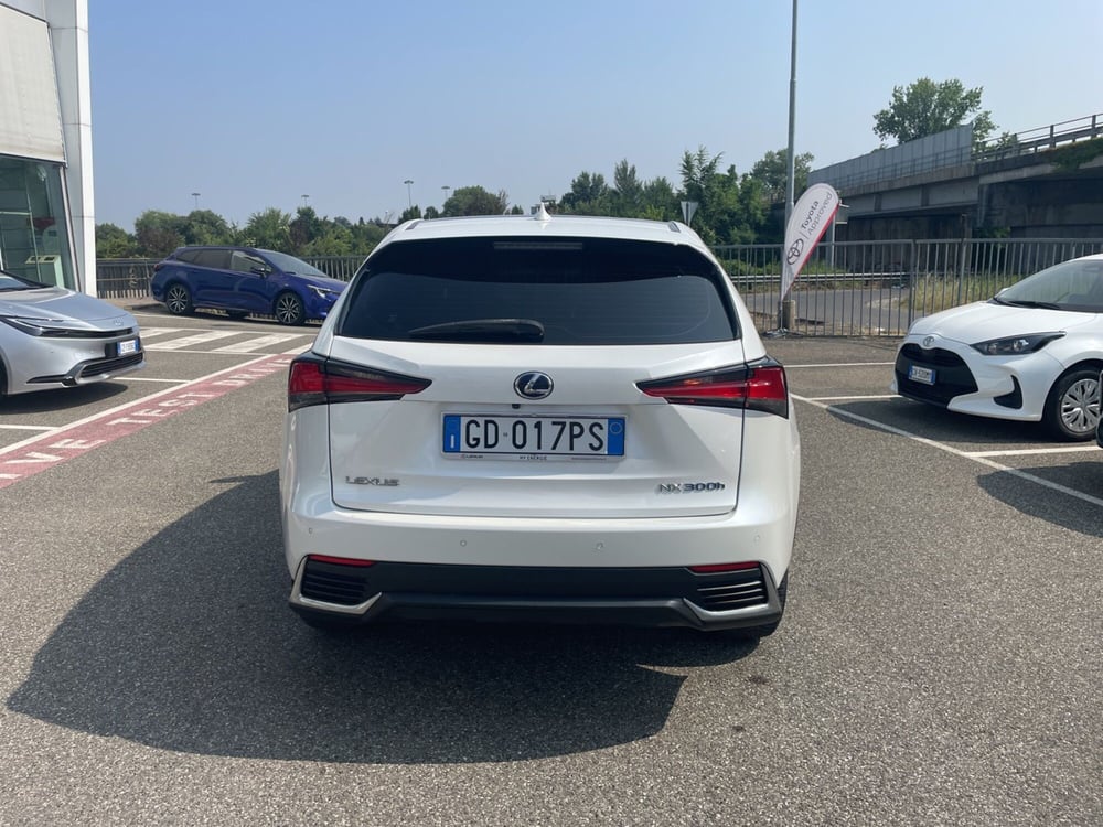 Lexus NX usata a Piacenza (6)