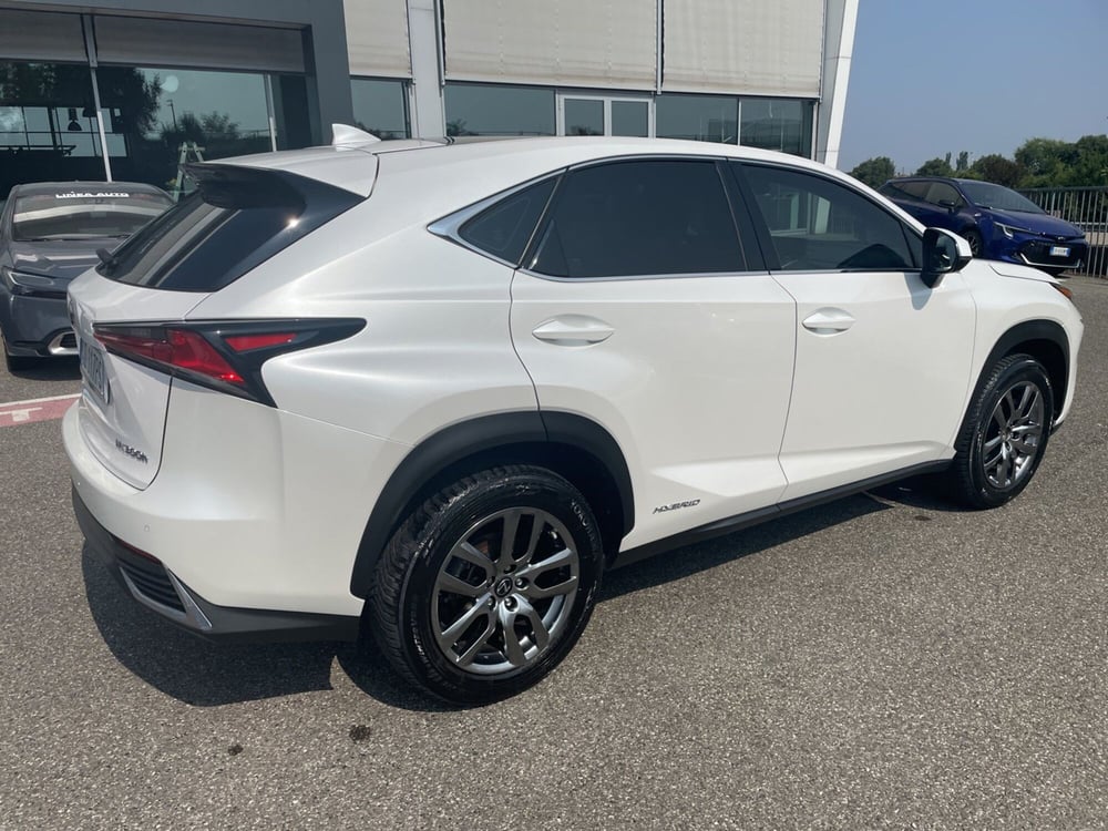 Lexus NX usata a Piacenza (7)