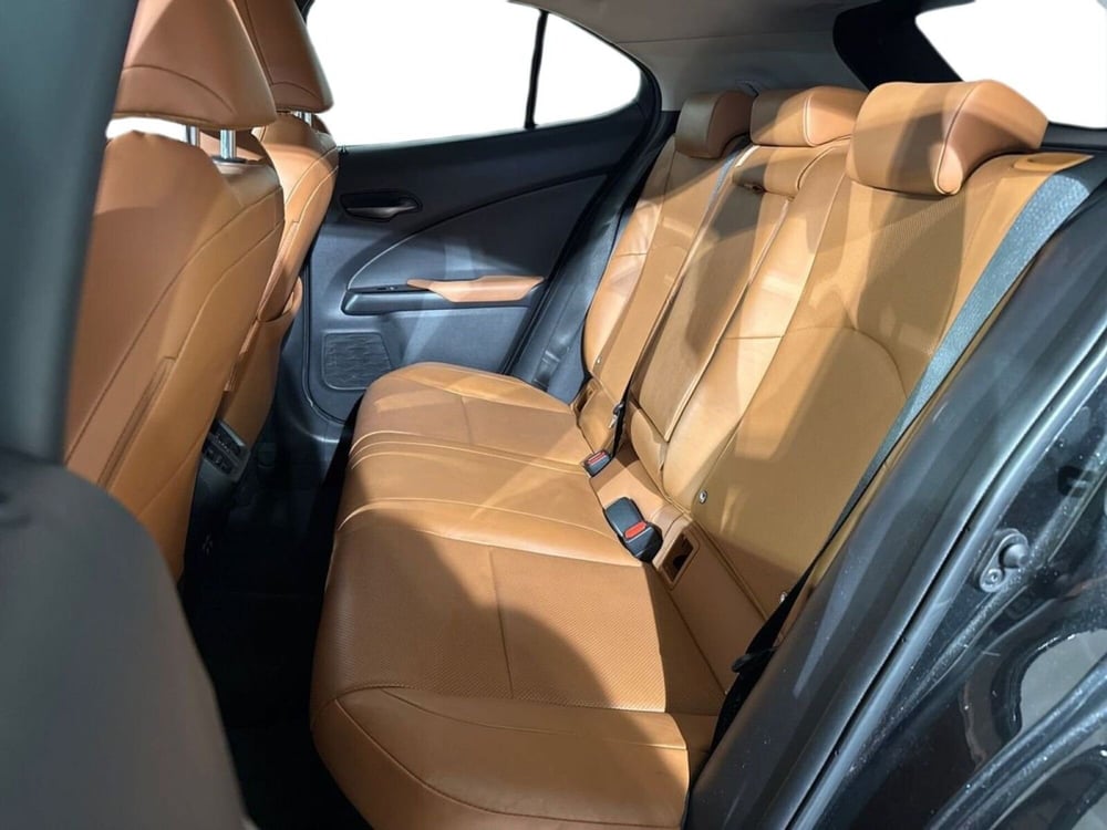 Lexus UX usata a Sondrio (14)