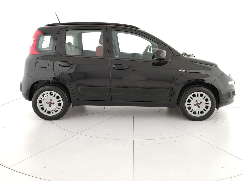 Fiat Panda usata a Caserta (4)