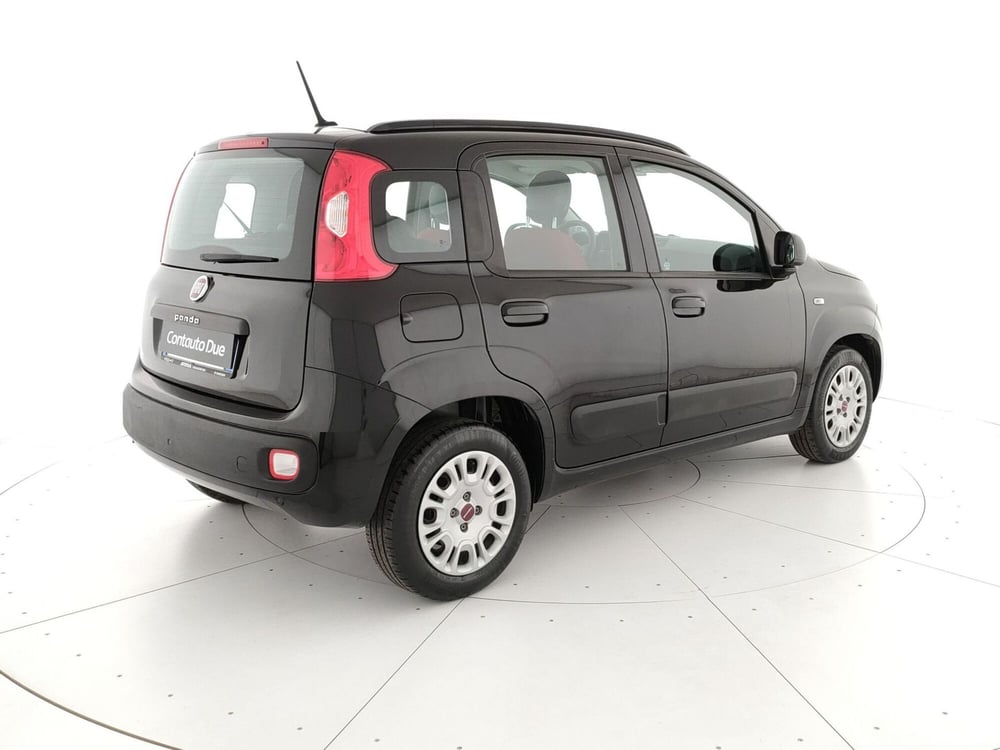 Fiat Panda usata a Caserta (5)