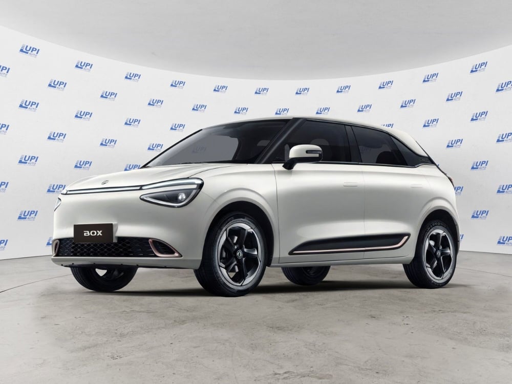 Dongfeng Box nuova a Pistoia