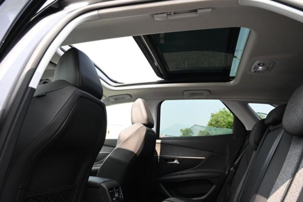 Peugeot 3008 usata a Torino (17)