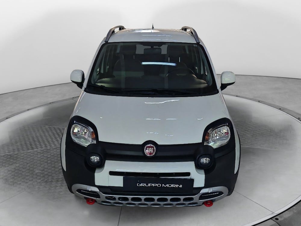 Fiat Panda Cross usata a Bologna (2)