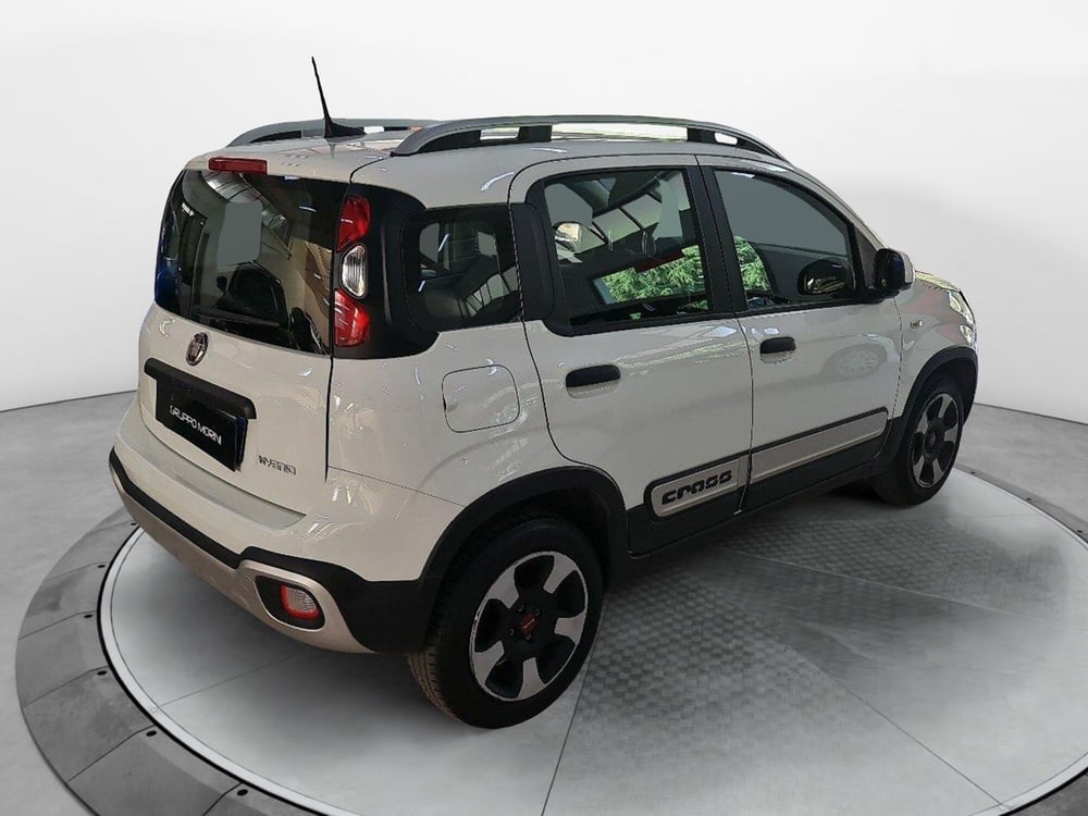 Fiat Panda Cross usata a Bologna (6)