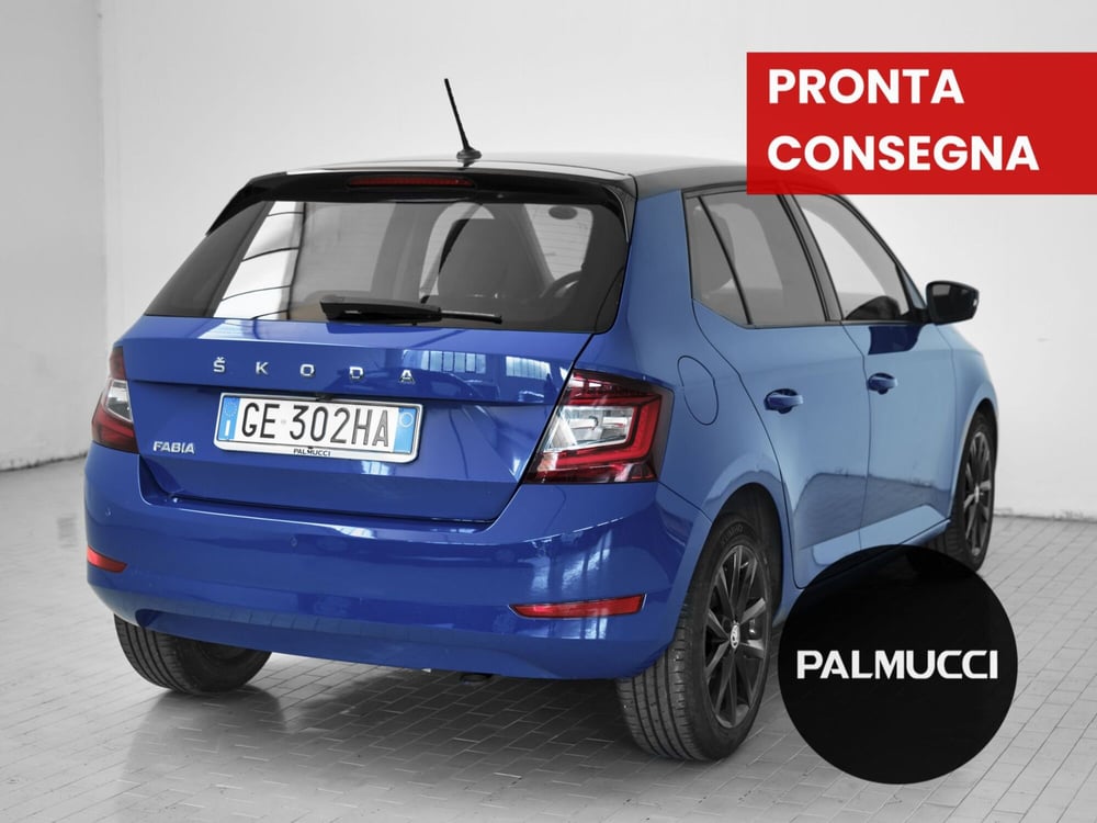 Skoda Fabia usata a Prato (2)