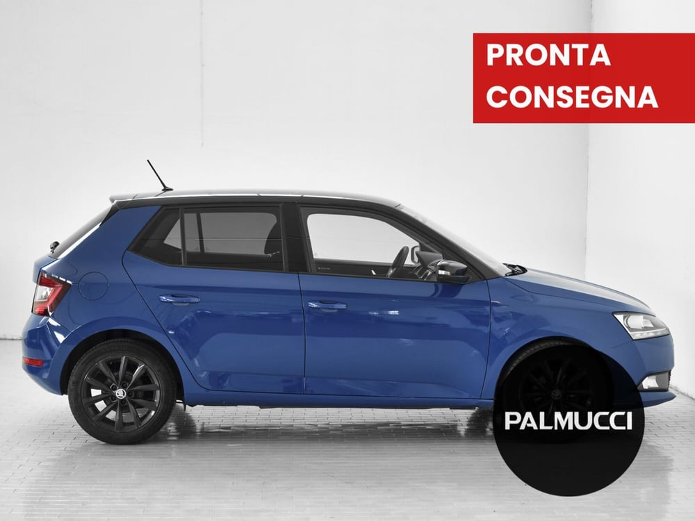 Skoda Fabia usata a Prato (3)