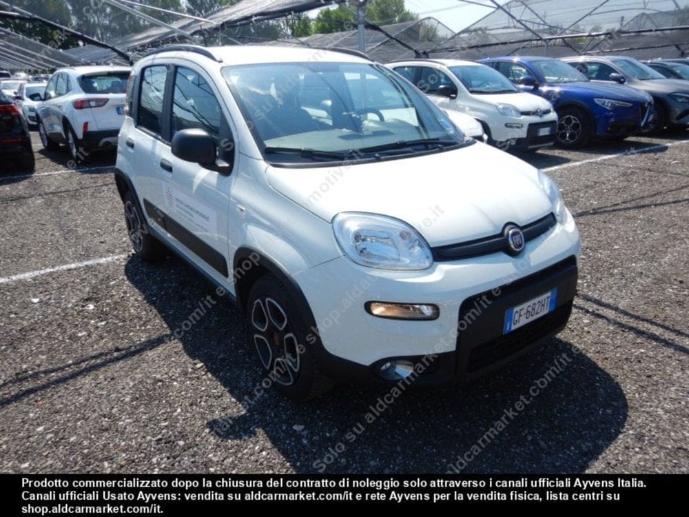Fiat Panda usata a Modena (12)