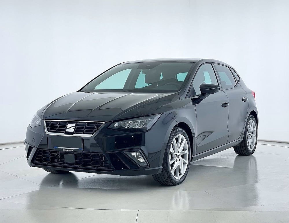 SEAT Ibiza usata a Perugia