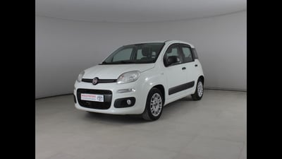 Fiat Panda 1.2 EasyPower Easy del 2017 usata a Palermo