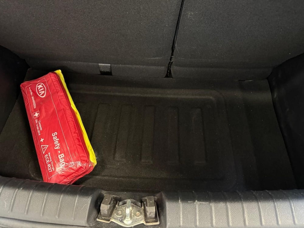 Kia Picanto usata a Arezzo (16)
