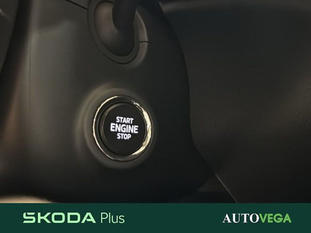 Skoda Kamiq usata a Vicenza (16)