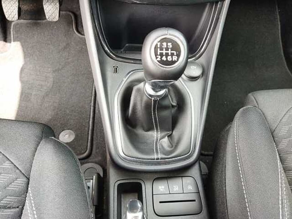 Ford Puma usata a Torino (19)