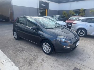Fiat Punto 1.4 8V 5 porte Natural Power Lounge del 2016 usata a Oristano