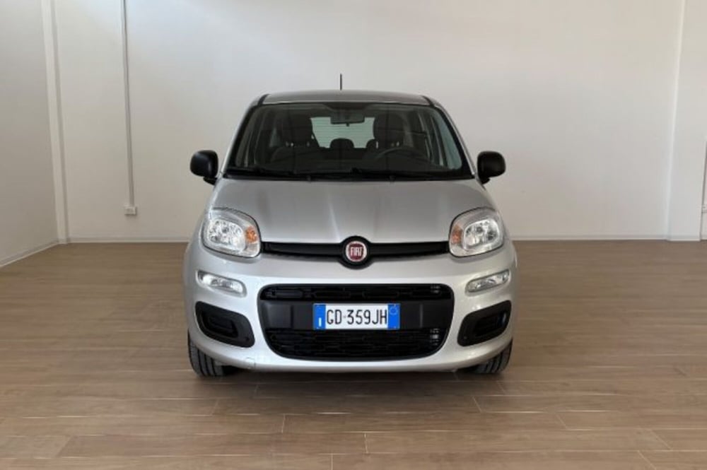 Fiat Panda usata a Latina (2)