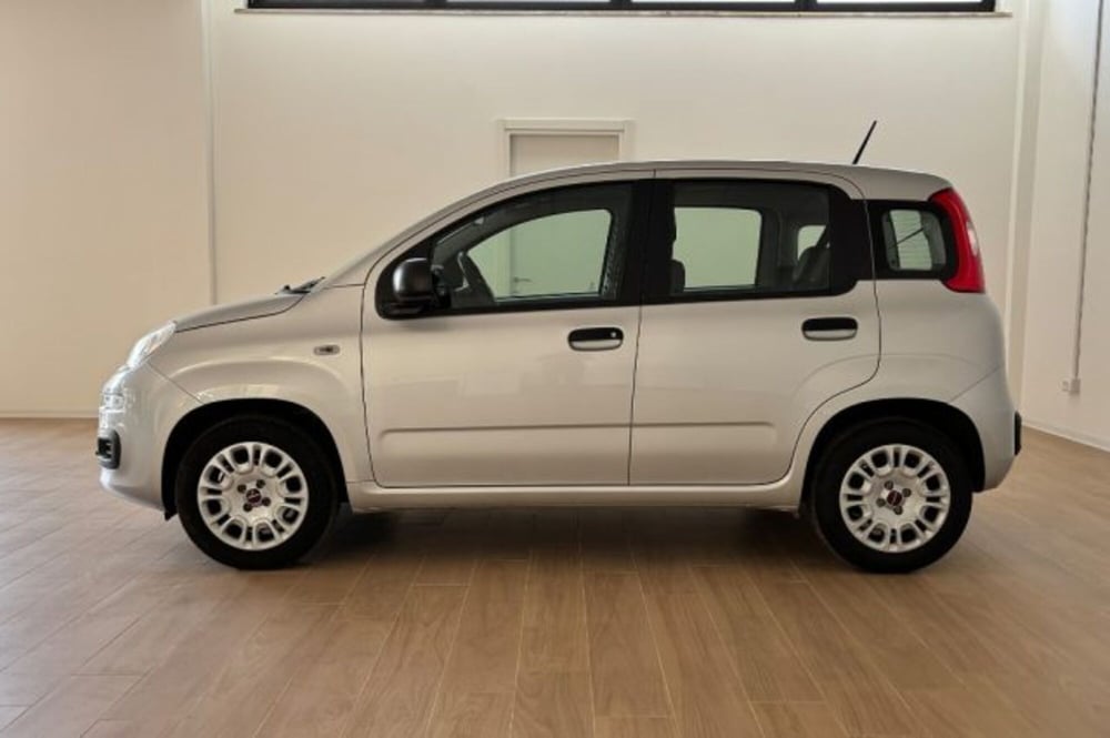 Fiat Panda usata a Latina (4)