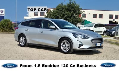 Ford Focus Station Wagon 1.5 EcoBlue 120 CV automatico SW Business del 2020 usata a Oristano