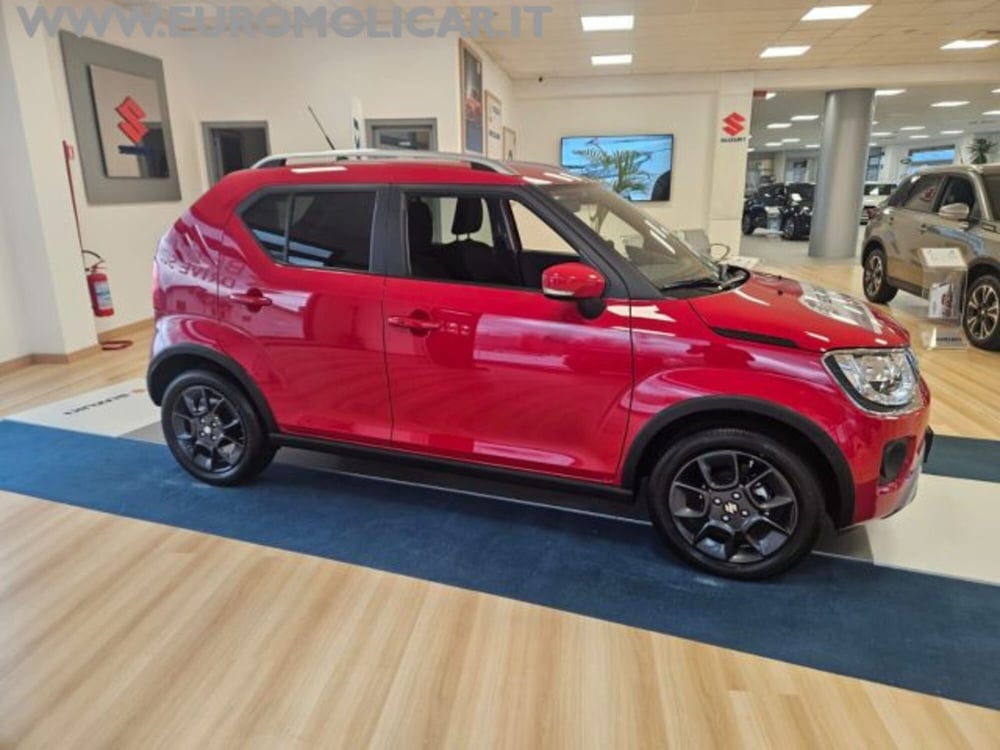 Suzuki Ignis nuova a Campobasso (10)
