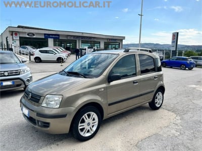 Fiat Panda 1.3 MJT 16V DPF Dynamic del 2009 usata a Busso