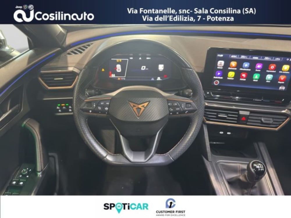 Cupra Formentor usata a Salerno (13)