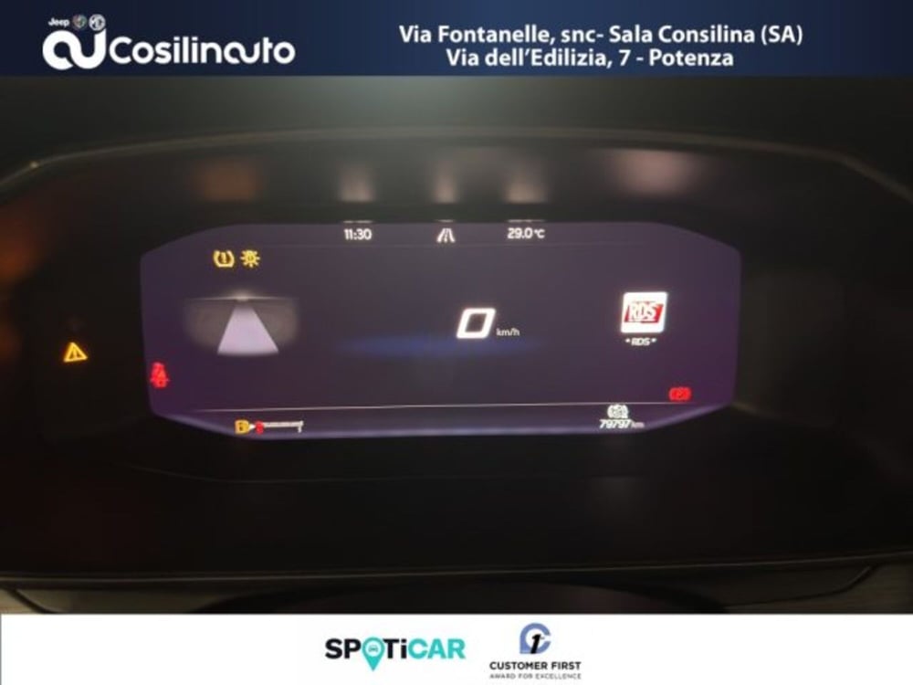 Cupra Formentor usata a Salerno (15)