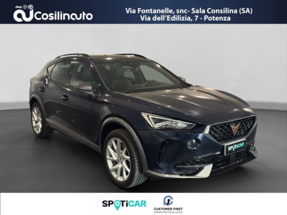 Cupra Formentor usata a Salerno (7)