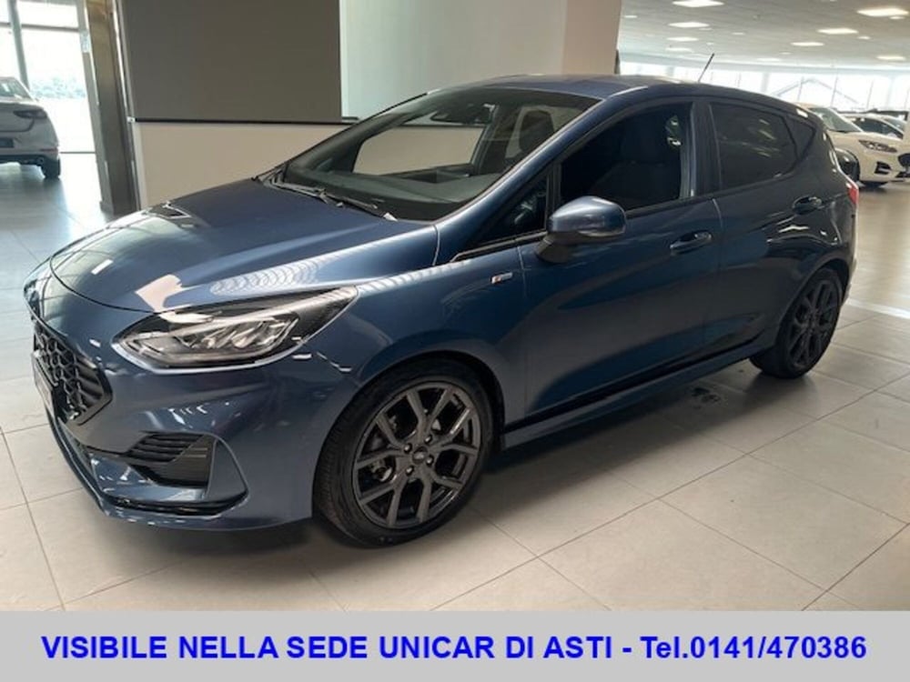 Ford Fiesta usata a Cuneo
