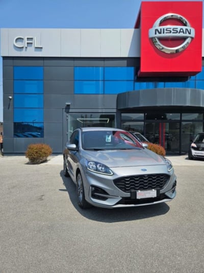 Ford Kuga 1.5 EcoBlue 120 CV aut. 2WD ST-Line X Design del 2020 usata a Lucca