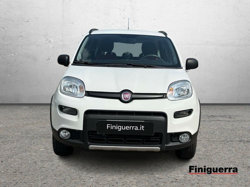Fiat Panda usata a Sondrio (2)