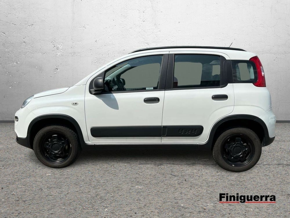Fiat Panda usata a Sondrio (6)