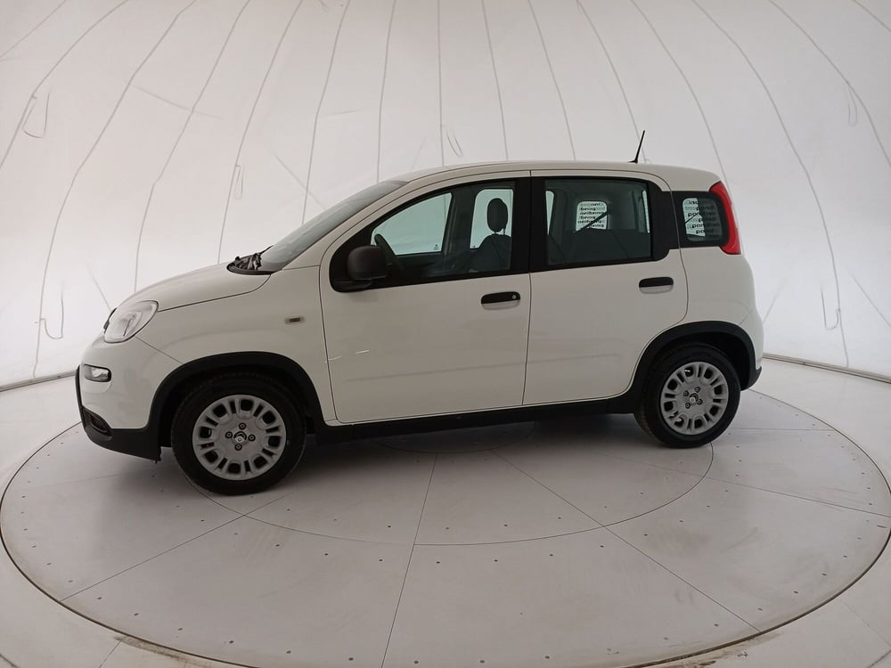 Fiat Panda Cross usata a Bari (2)