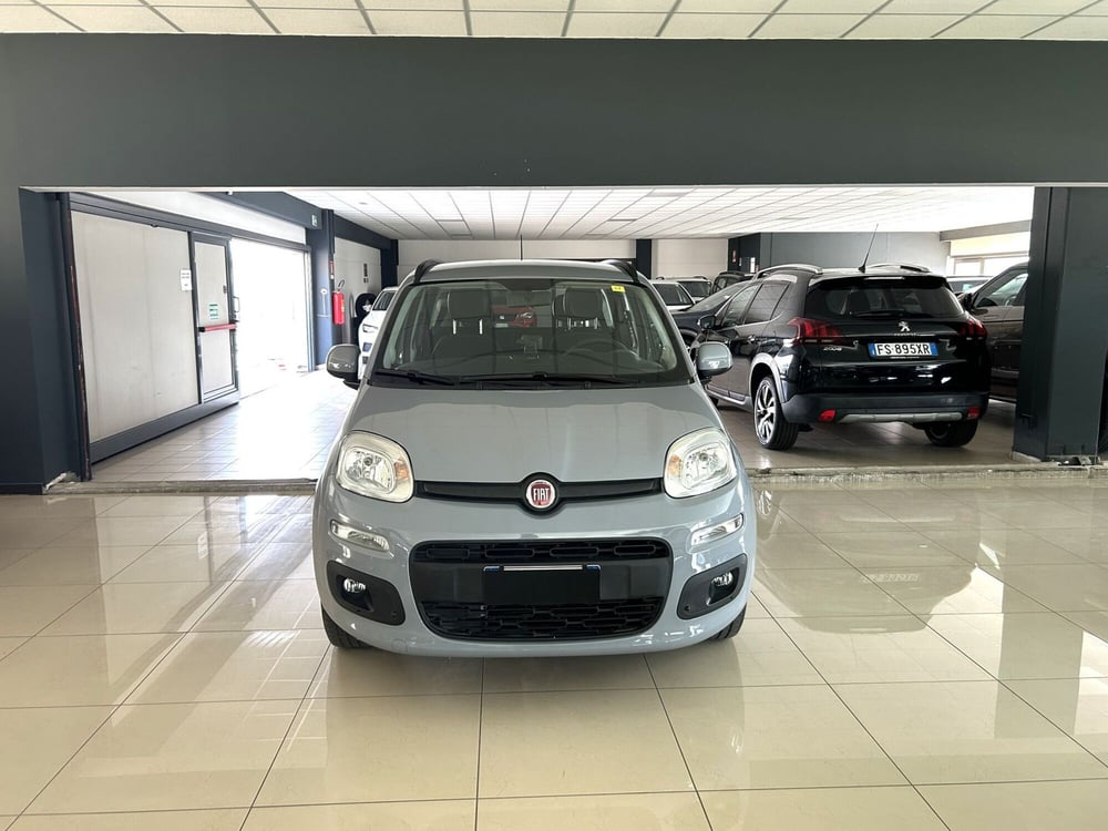 Fiat Panda usata a Ferrara (2)