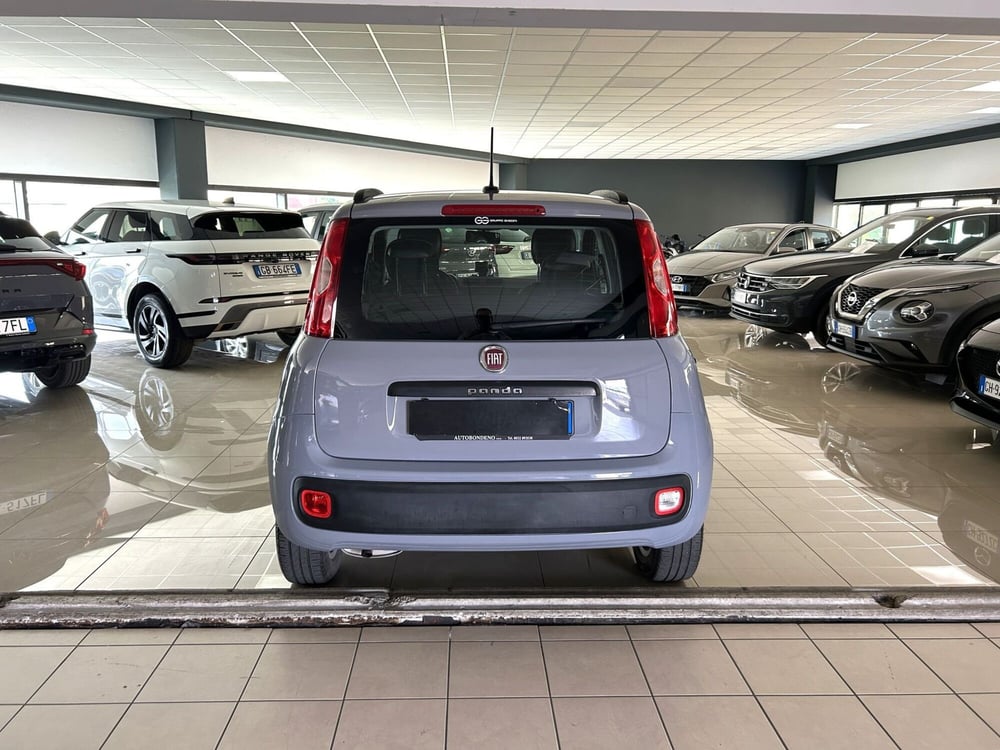 Fiat Panda usata a Ferrara (5)