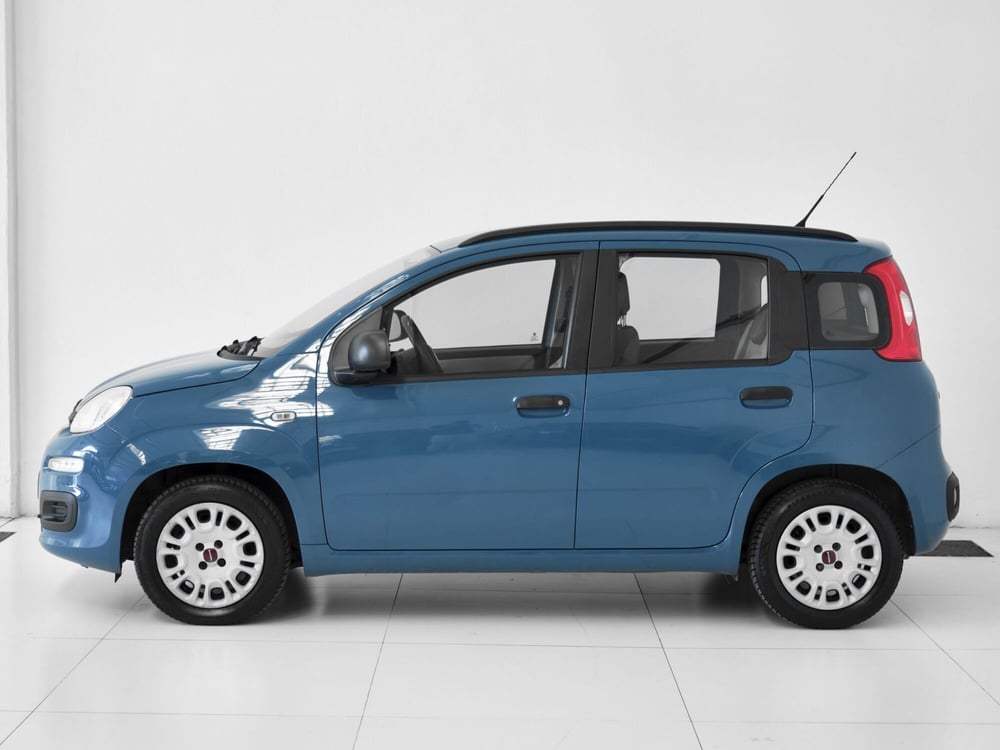 Fiat Panda usata a Prato (3)