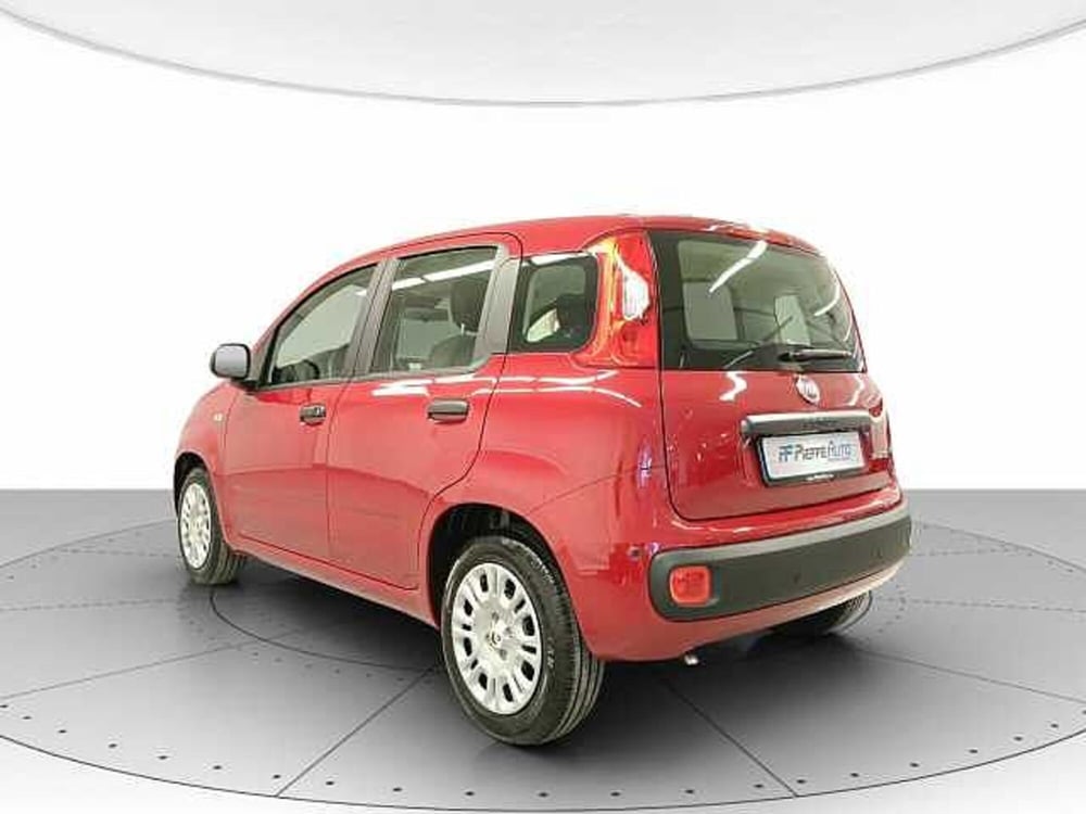 Fiat Panda nuova a Teramo (3)